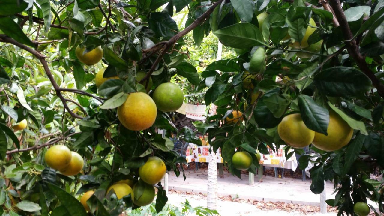 Vv - Casa Clary -Finca Medina Alojera Ngoại thất bức ảnh